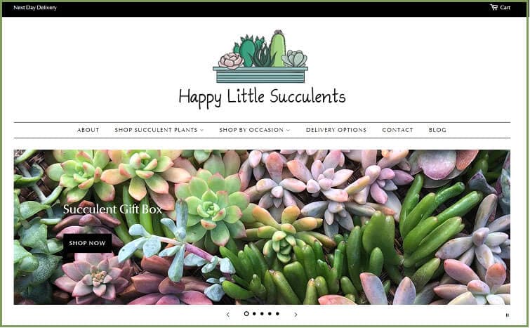 Happy Little Succulents