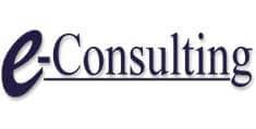 e-consulting