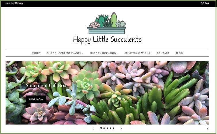 Happy Little Succulents - W3era client