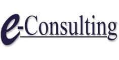 W3era Client e-Consulting