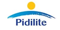 W3era Client Pidilite