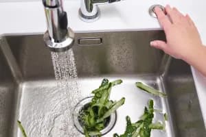 InSinkErator - Google ads case study