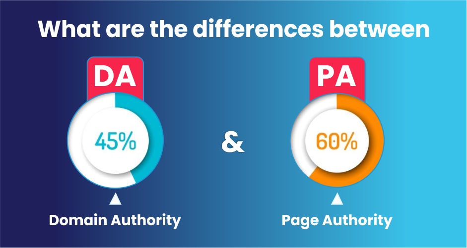 differences-between-page-authority-and-domain-authority.jpg