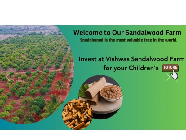 vishwassandalwoodfarms.com